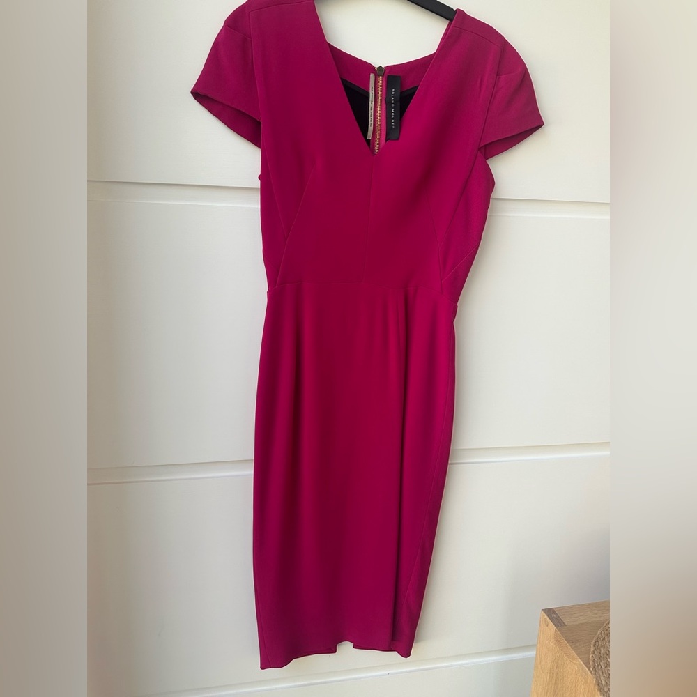 Elegant Pink Dress by Roland Mouret